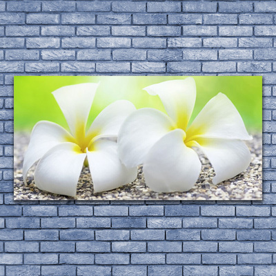 Quadro canvas Flores Planta Natureza