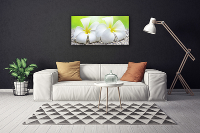 Quadro canvas Flores Planta Natureza