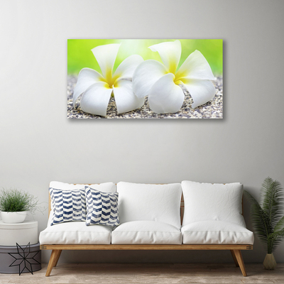 Quadro canvas Flores Planta Natureza