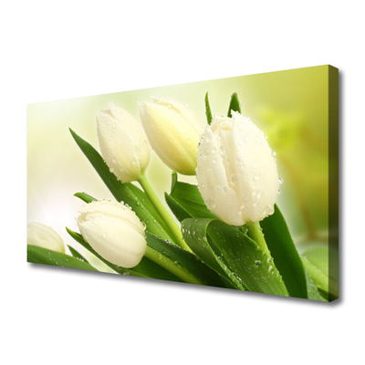 Quadro em tela Tulipas Flores Planta