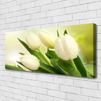 Quadro em tela Tulipas Flores Planta