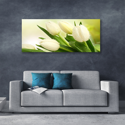 Quadro em tela Tulipas Flores Planta
