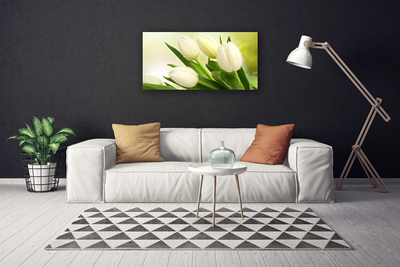 Quadro em tela Tulipas Flores Planta