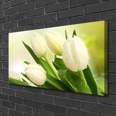 Quadro em tela Tulipas Flores Planta