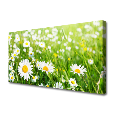 Quadro canvas Planta de flor margarida