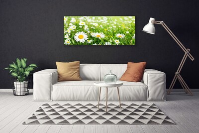 Quadro canvas Planta de flor margarida