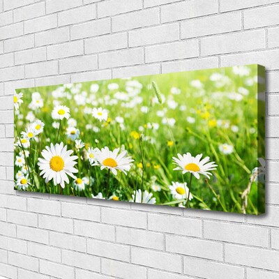 Quadro canvas Planta de flor margarida