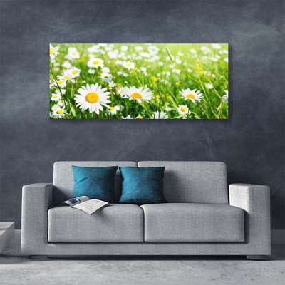 Quadro canvas Planta de flor margarida