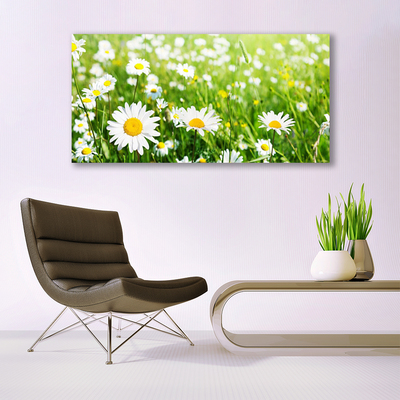 Quadro canvas Planta de flor margarida