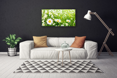Quadro canvas Planta de flor margarida
