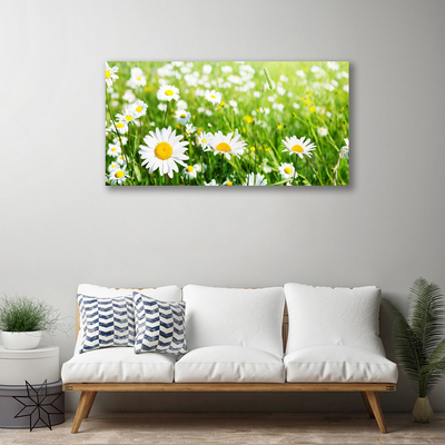 Quadro canvas Planta de flor margarida