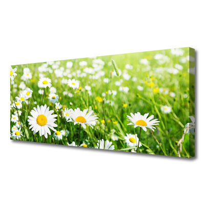 Quadro canvas Planta de flor margarida
