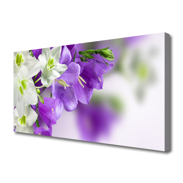 Quadro canvas Flores Planta Natureza