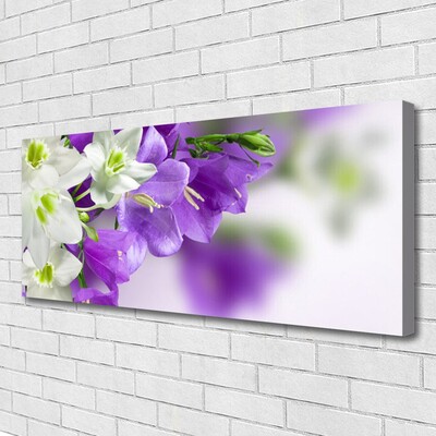 Quadro canvas Flores Planta Natureza