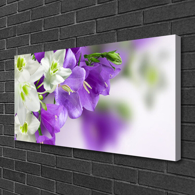 Quadro canvas Flores Planta Natureza