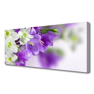 Quadro canvas Flores Planta Natureza