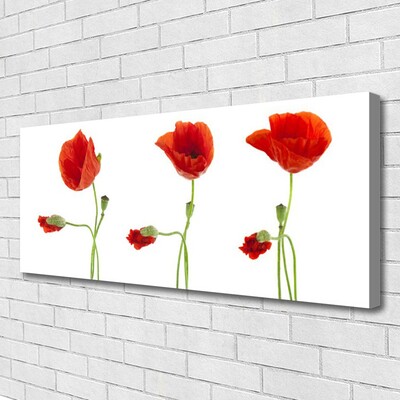 Quadro em tela Papoulas Plantam Natureza