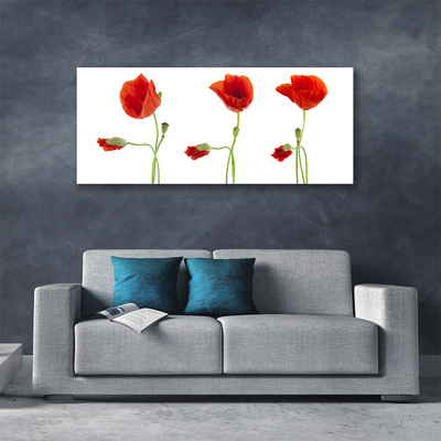 Quadro em tela Papoulas Plantam Natureza