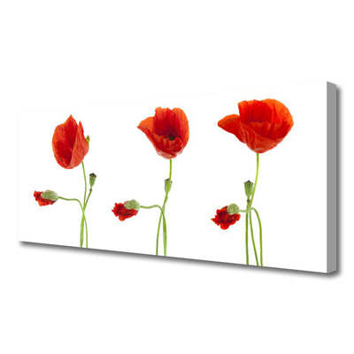 Quadro em tela Papoulas Plantam Natureza