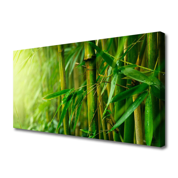 Quadro em tela Planta de caule de bambu