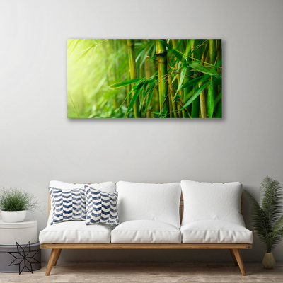 Quadro em tela Planta de caule de bambu