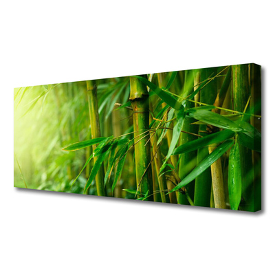 Quadro em tela Planta de caule de bambu