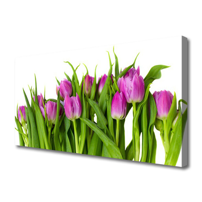 Quadro canvas Tulipas Flores Planta