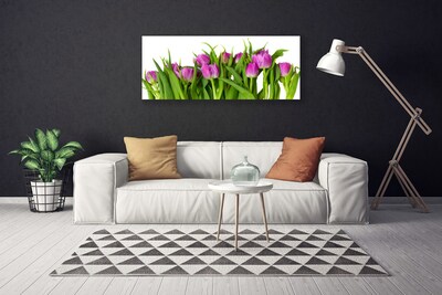 Quadro canvas Tulipas Flores Planta