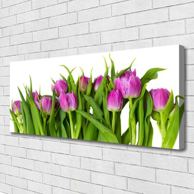 Quadro canvas Tulipas Flores Planta