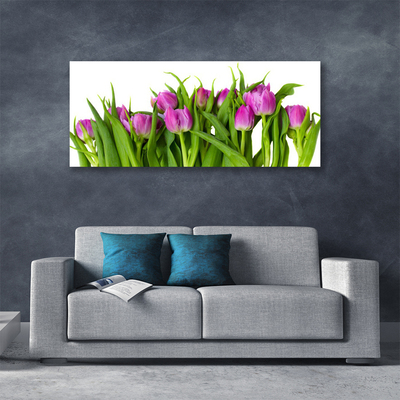 Quadro canvas Tulipas Flores Planta