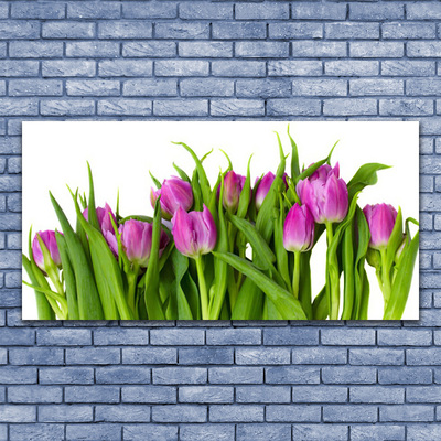Quadro canvas Tulipas Flores Planta