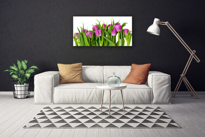 Quadro canvas Tulipas Flores Planta