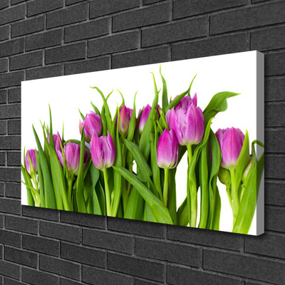 Quadro canvas Tulipas Flores Planta