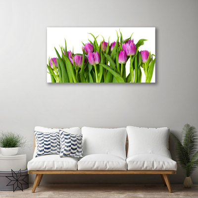 Quadro canvas Tulipas Flores Planta