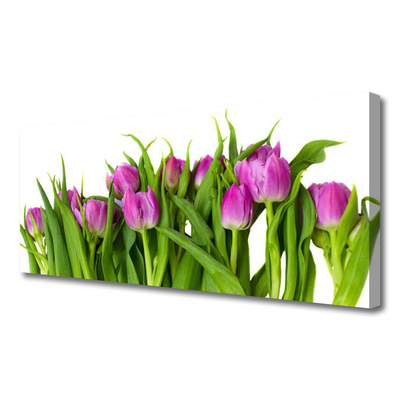 Quadro canvas Tulipas Flores Planta