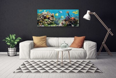 Quadro em tela Natureza dos recifes de corais