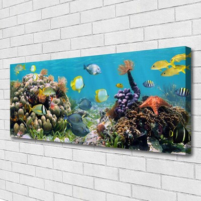 Quadro em tela Natureza dos recifes de corais