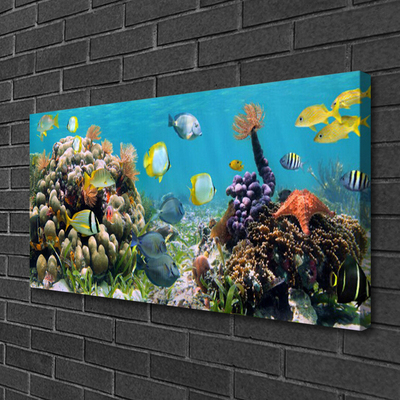 Quadro em tela Natureza dos recifes de corais