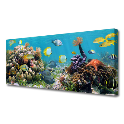 Quadro em tela Natureza dos recifes de corais