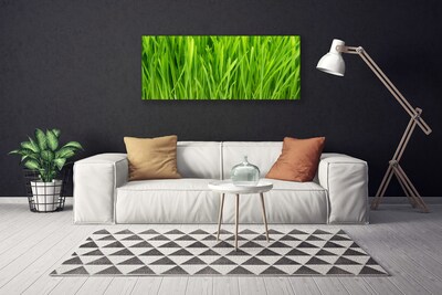 Quadro canvas Natureza da planta grama