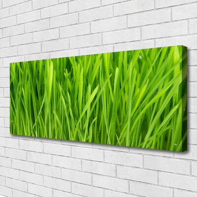 Quadro canvas Natureza da planta grama