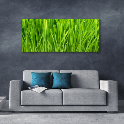 Quadro canvas Natureza da planta grama