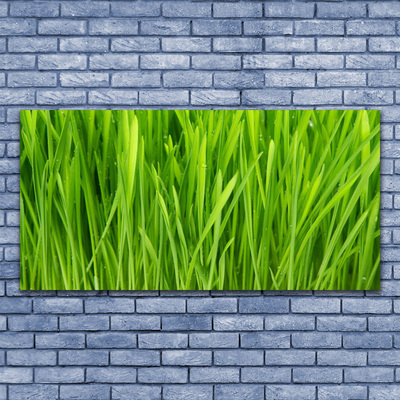 Quadro canvas Natureza da planta grama