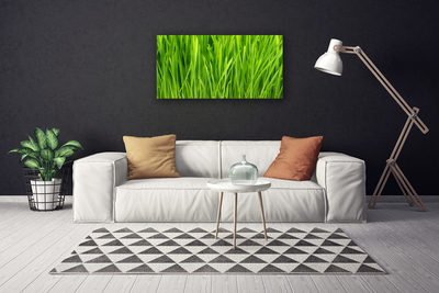 Quadro canvas Natureza da planta grama