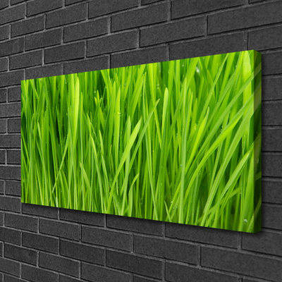 Quadro canvas Natureza da planta grama