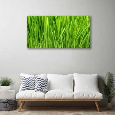 Quadro canvas Natureza da planta grama