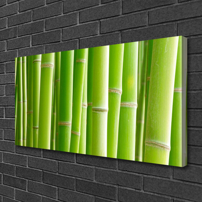 Quadro em tela Planta de flor de caule de bambu