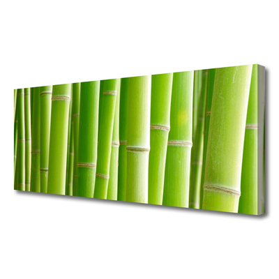 Quadro em tela Planta de flor de caule de bambu