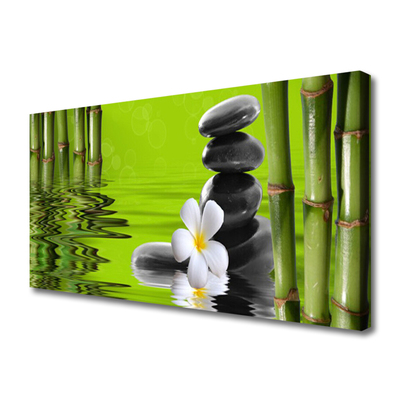 Quadro canvas Planta de Pedras de Bambu