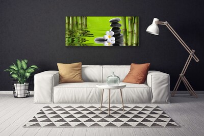 Quadro canvas Planta de Pedras de Bambu